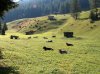 Reisen &raquo; Österreich &raquo; Stubaital